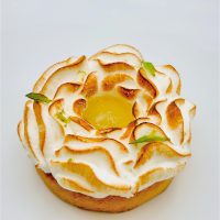 8B0E6F62-BAF2-4913-92A5-79F4EFC0587F