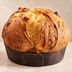 Panettone artigianale intero – Jessica Gasparro Panettone artigianale intero di Jessica Gasparro