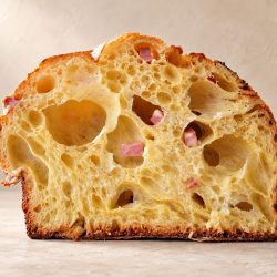 Sezione di panettone artigianale con alveolatura aperta – Jessica Gasparro Sezione di panettone artigianale con alveolatura aperta, realizzato da Jessica Gasparro